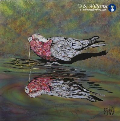 Galah reflection: Precious water by Susan Willemse - search and link Fine Art with ARTdefs.com