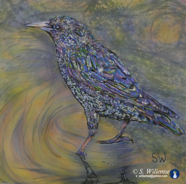 Starling by Susan Willemse - search and link Fine Art with ARTdefs.com