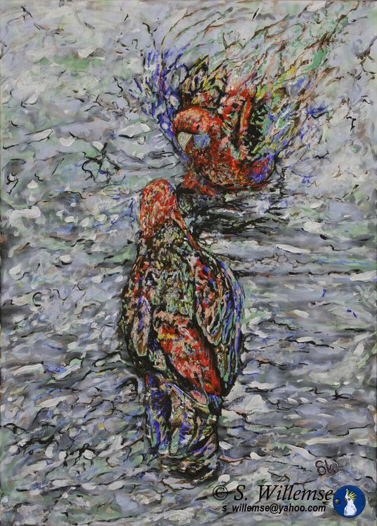 Bathing Rosellas by Susan Willemse - search and link Fine Art with ARTdefs.com