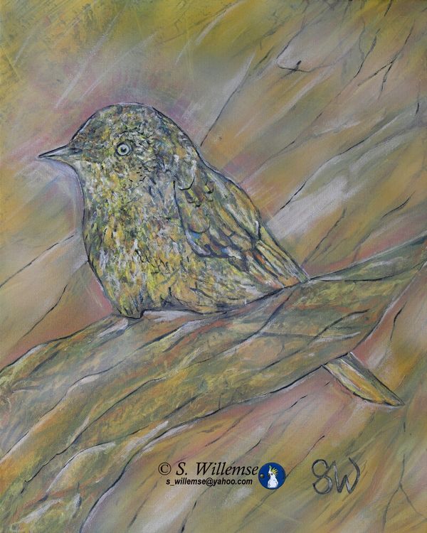 Thornbill by Susan Willemse - search and link Fine Art with ARTdefs.com