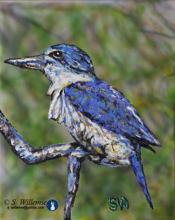 Kingfisher by Susan Willemse - search and link Fine Art with ARTdefs.com
