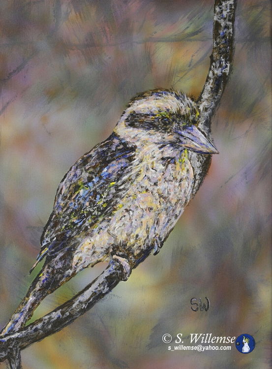Thoughtful Kookaburra by Susan Willemse - search and link Fine Art with ARTdefs.com