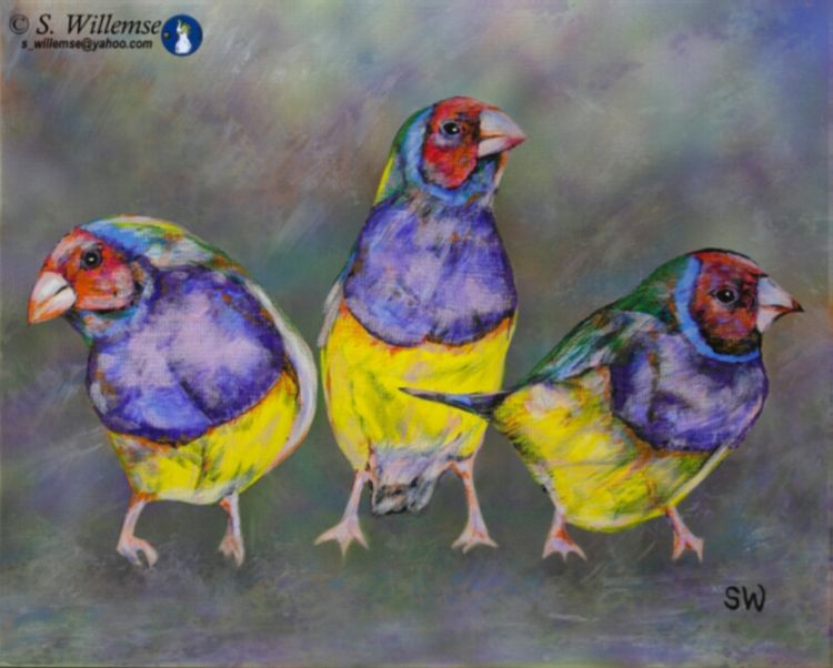Red-headed Gouldian Finches by Susan Willemse - search and link Fine Art with ARTdefs.com