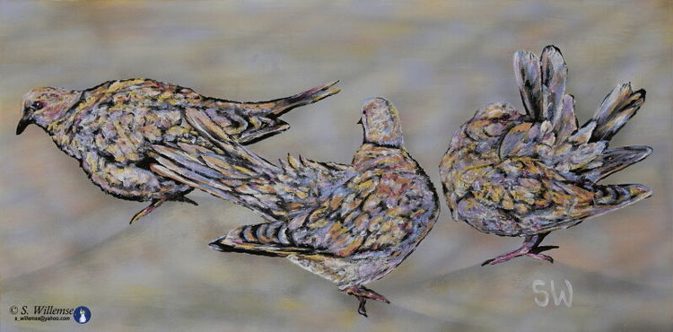 Doves by Susan Willemse - search and link Fine Art with ARTdefs.com