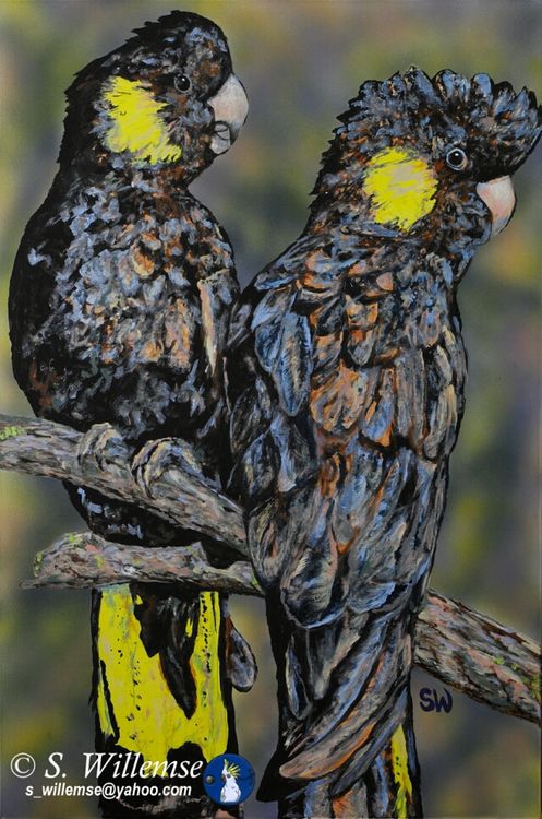The Girls: Black Cockatoos by Susan Willemse - search and link Fine Art with ARTdefs.com
