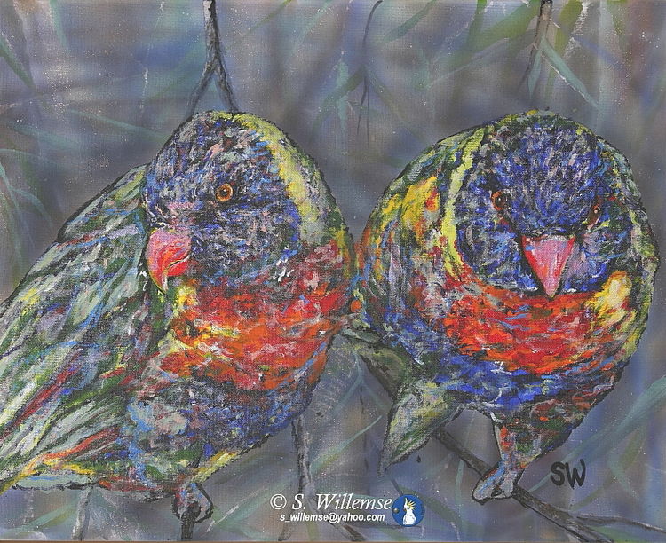Rainbow Lorikeet: Looking at you by Susan Willemse - search and link Fine Art with ARTdefs.com