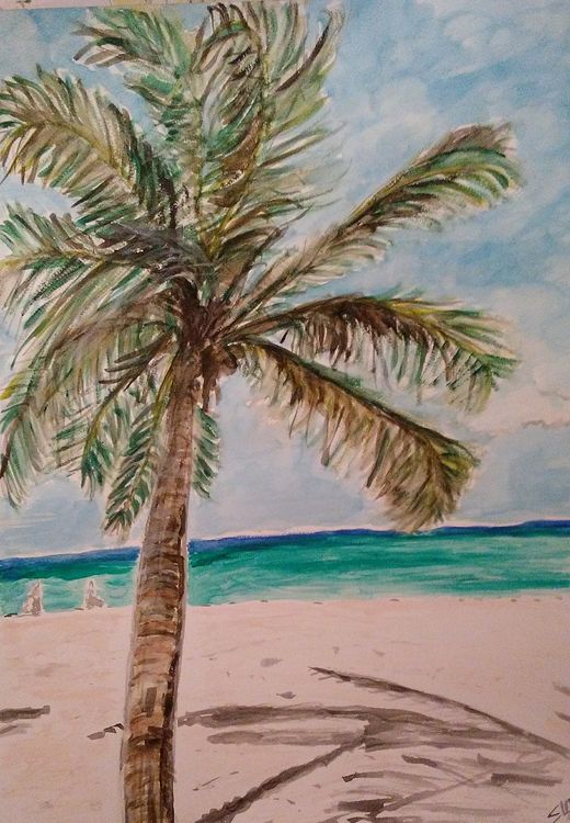 Dominican Palm by Susan Royer - search and link Fine Art with ARTdefs.com
