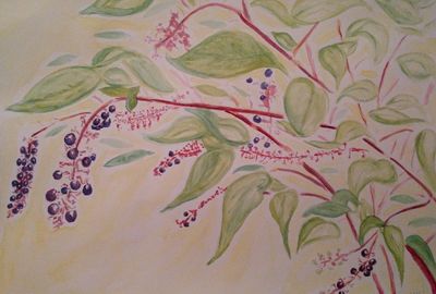 Pokeberries by Susan Royer - search and link Fine Art with ARTdefs.com
