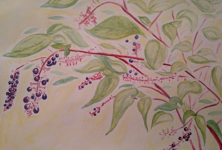 Pokeberries by Susan Royer - search and link Fine Art with ARTdefs.com