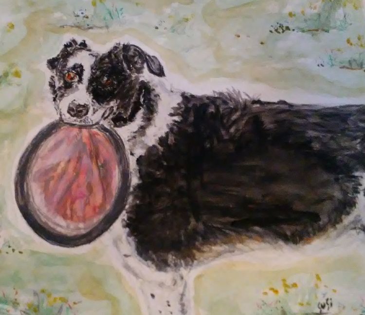Bandit by Susan Royer - search and link Fine Art with ARTdefs.com