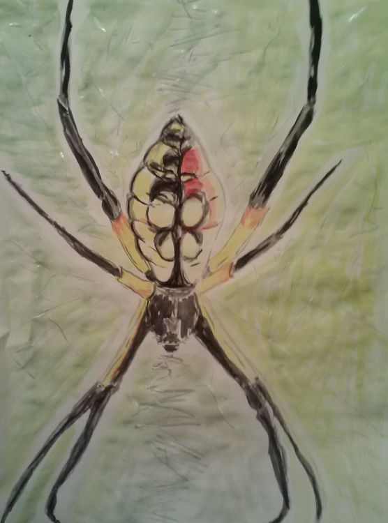 Yellow Garden Spider by Susan Royer - search and link Fine Art with ARTdefs.com