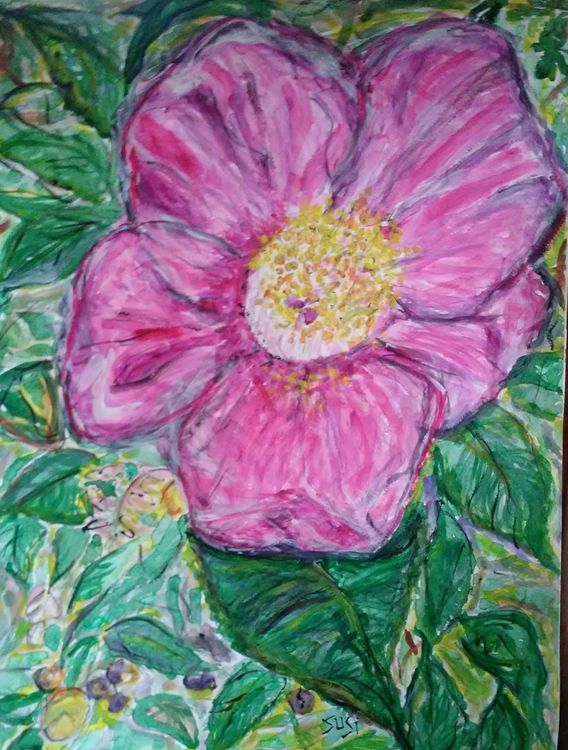 Winter Camellia by Susan Royer - search and link Fine Art with ARTdefs.com
