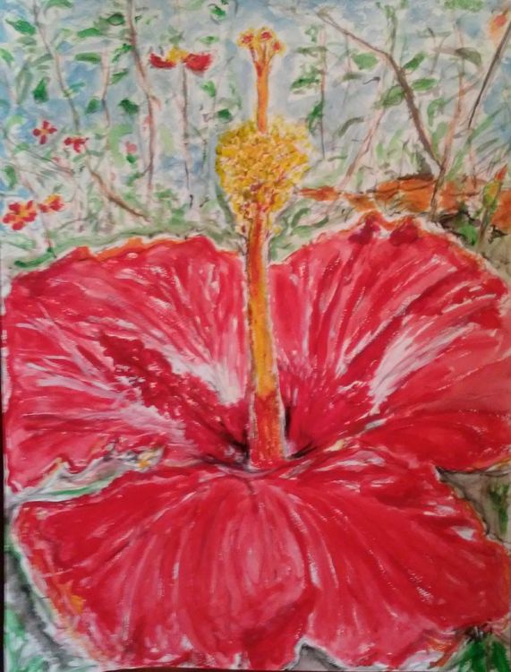 Dominican Bloom by Susan Royer - search and link Fine Art with ARTdefs.com