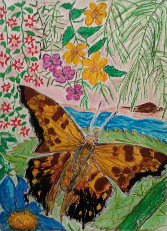 Comma Butterfly by Susan Royer - search and link Fine Art with ARTdefs.com