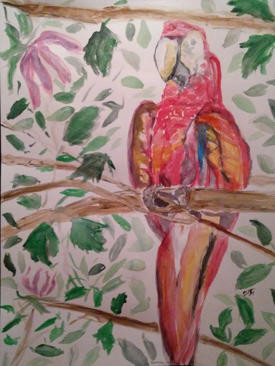 Jamaican Macaw by Susan Royer - search and link Fine Art with ARTdefs.com