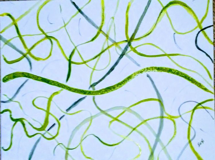 Camo Green Snake by Susan Royer - search and link Fine Art with ARTdefs.com